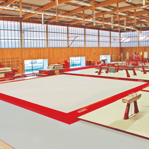 carpet only for competition exercise floor
