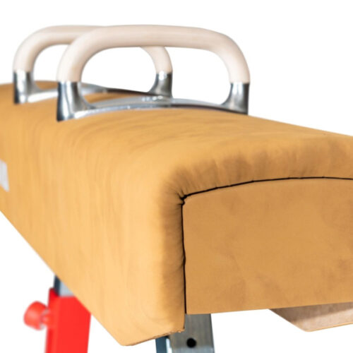 closeup view pommel horse leatherette covered body