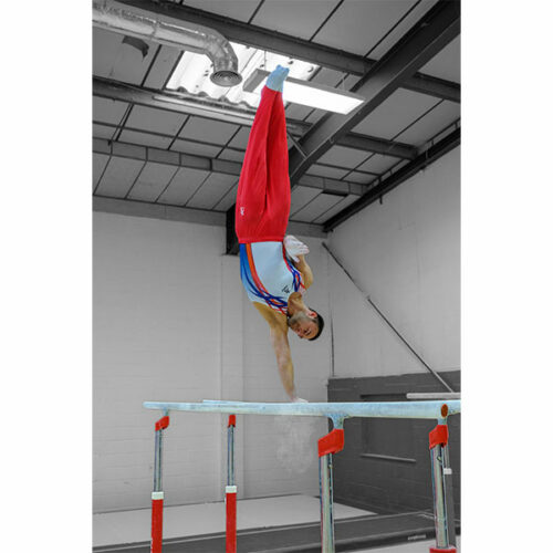 durable competition parallel bars with reinforced frame and natural fibre hand rails
