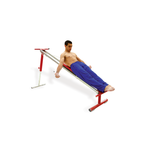 freestanding muscle training bench 2261 gymnova 1.png