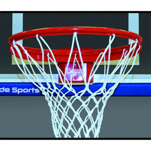 pro action dunk ring with net