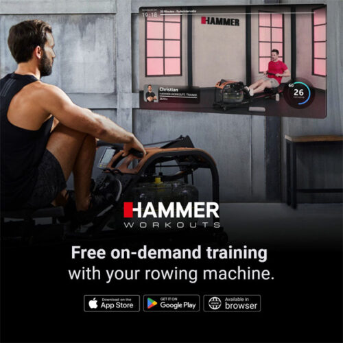 Pro Force Hammer Workouts