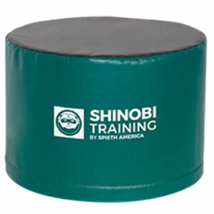 shinobi ninja training pillar