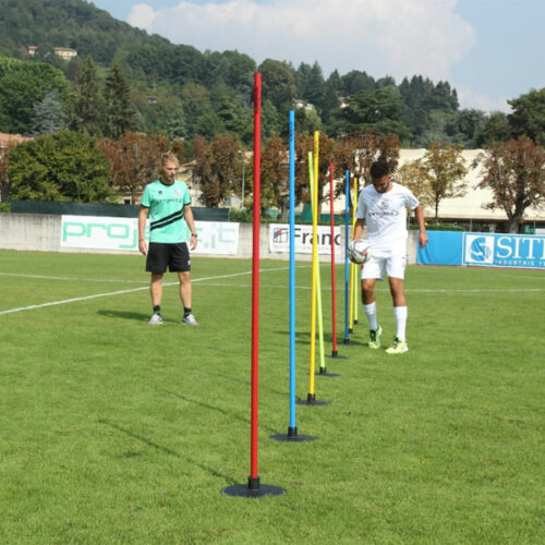 training poles with ball